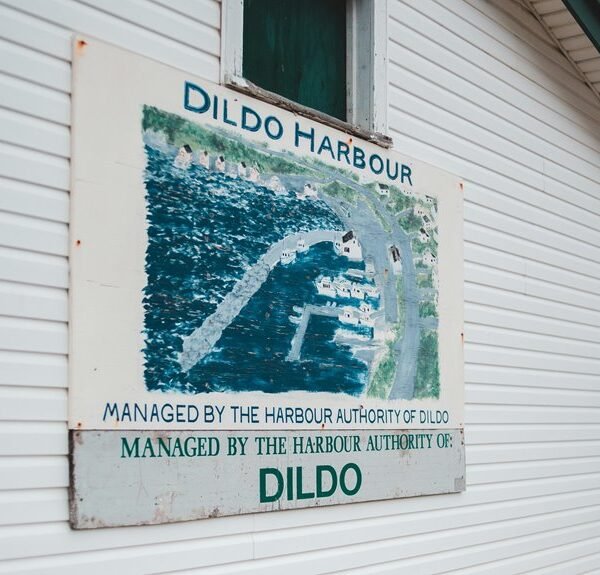 high edge authority mapping