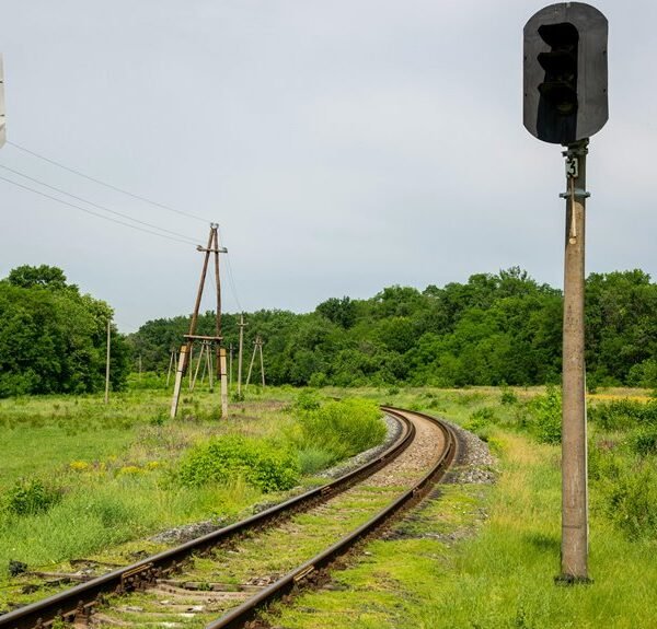 rapidbridge signal dock identifier
